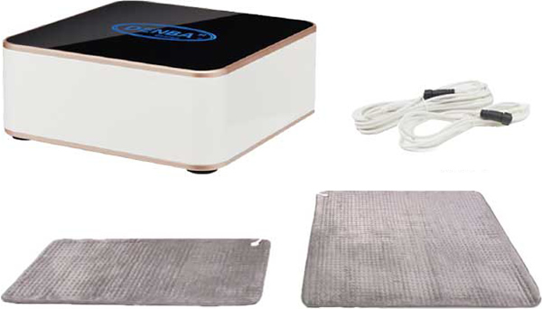 DENBA ヘルスチャージ